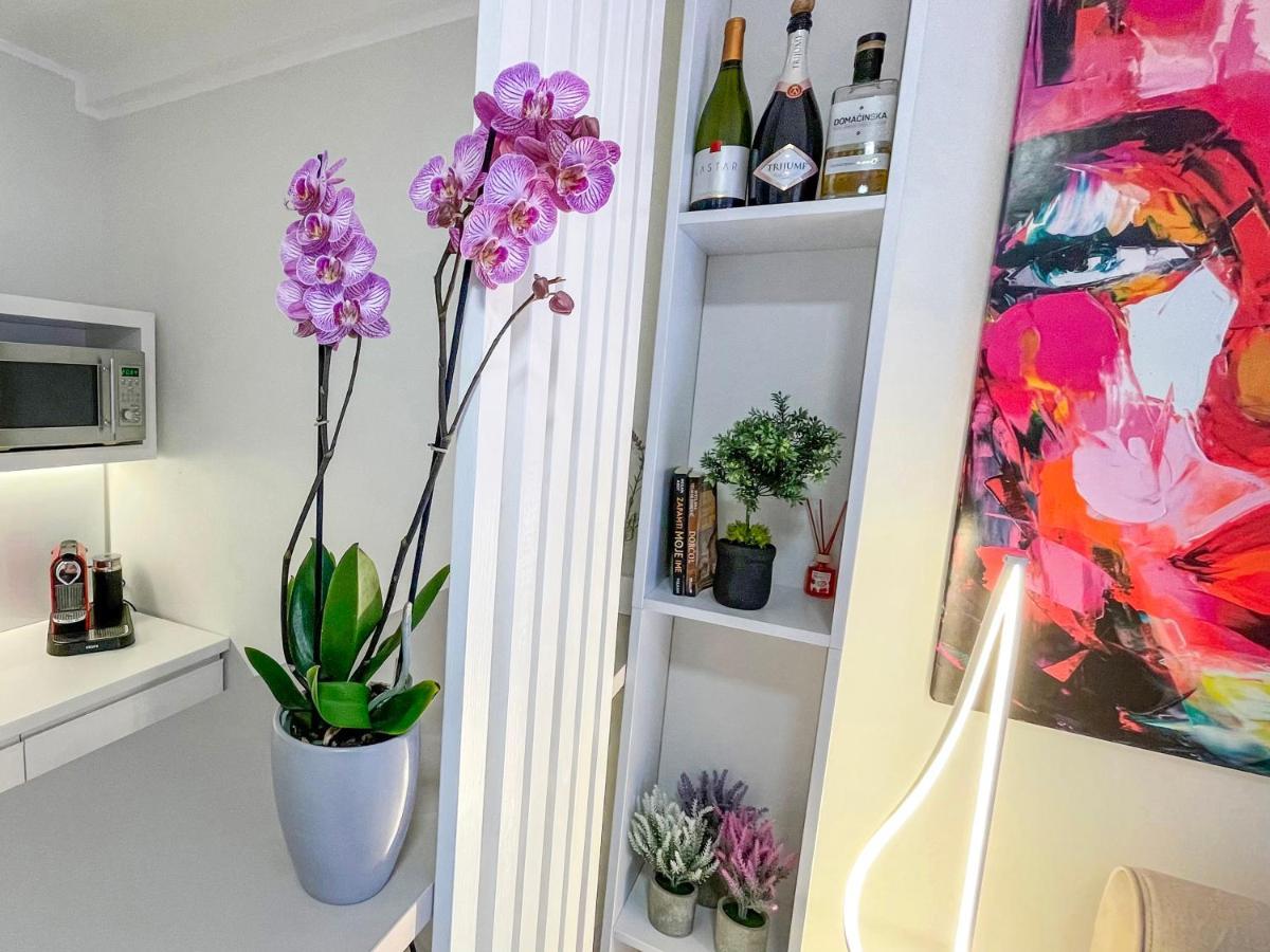 Apartmán Skadarlija Colorway Bělehrad Exteriér fotografie